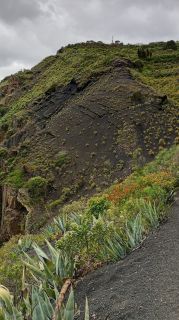 GC-Caldera de Bandama 2026-022.jpg